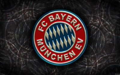 xingkong-世界杯后路在何方